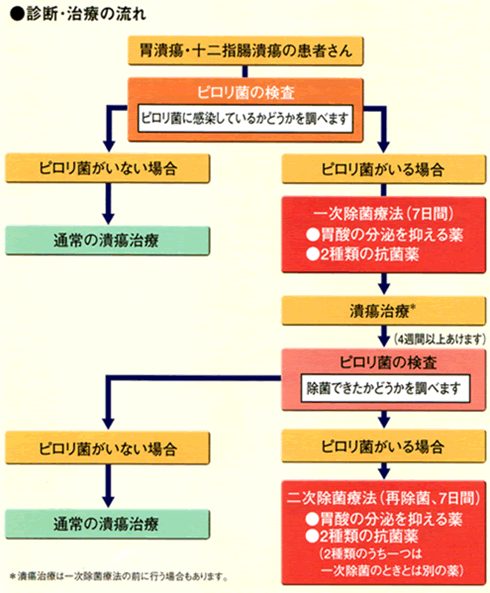 除菌治療の流れ