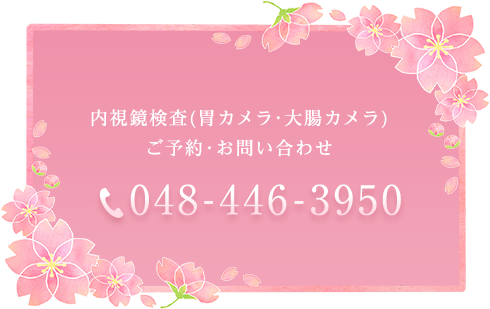 内視鏡検査（胃カメラ・大腸カメラ）ご予約・お問い合わせ TEL:048-446-3950